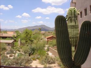Carefree Shadows home for sale