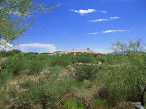 Sonoran Sanctuary home for sale
