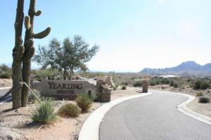 Yearling Estates 15