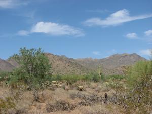 Horseshoe Canyon at Silverleaf 2918