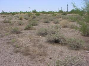 1955 Old West Highway 60 --, Apache Junction, AZ, 85119, USA