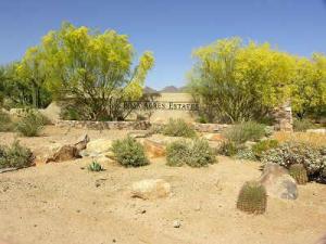 Pima Acres 88