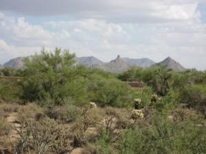 Whisper Rock 81