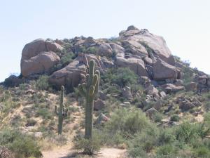 Pinnacle Canyon at Troon North 29
