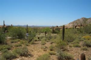 Upper Canyon at Silverleaf 1657