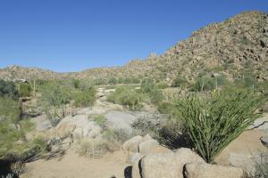 Esperanza at Pinnacle Peak 10