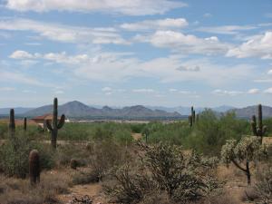 Horseshoe Canyon at Silverleaf 3213