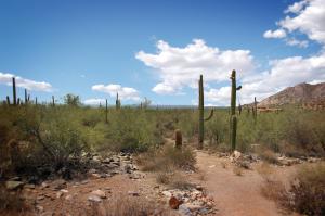 Upper Canyon at Silverleaf 1606