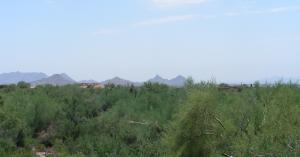 Turquoise Ridge 37