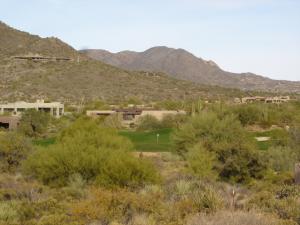 Gambel Quail 111