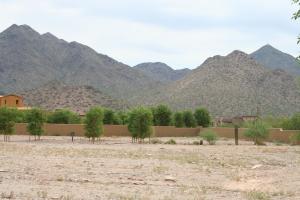 Arcadia at Silverleaf 3719