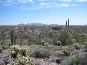 Ranch Highlands 28