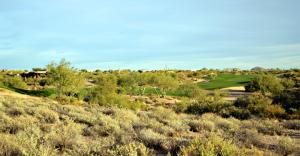 Gambel Quail Preserve 208