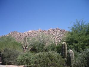 1345.00 SqFt - 2/2 bed/bath - $449,900