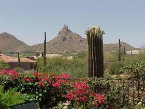 1623.00 SqFt - 3/2.5 bed/bath - $339,900