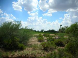 Gambel Quail Preserve 256