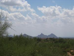 3529 SqFt - 3/3.5 bed/bath - $1,335,000