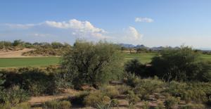 Desert Fairways home for sale