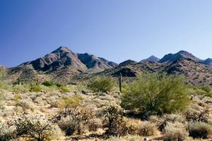 Horseshoe Canyon at Silverleaf 2915