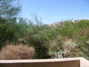 1674 SqFt - 2/2 bed/bath - $399,000