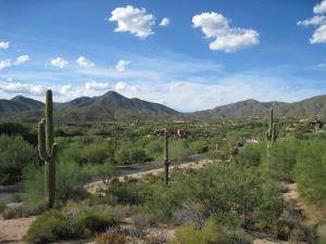 Lone Mountain II 72