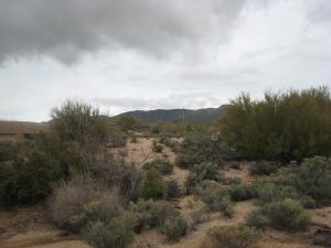Turquoise Ridge 54
