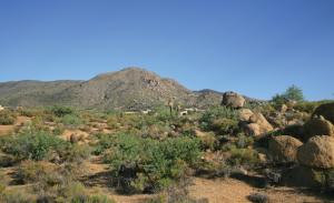 Arrowhead 7