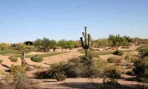 Gambel Quail Preserve Lot 246