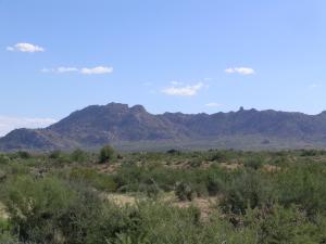 Non-HOA in Dynamite Foothills 0