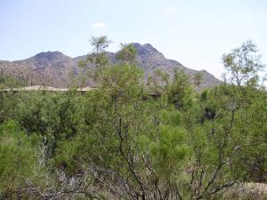 Troon Ridge Estates 3/4 17