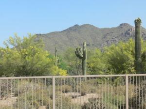 Terravita home for sale