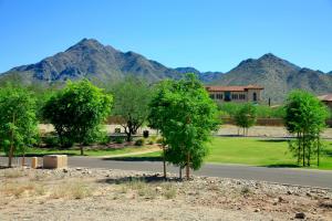 Arcadia at Silverleaf 3685
