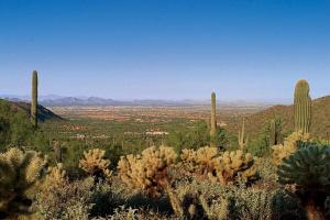 Upper Canyon at Silverleaf 1855
