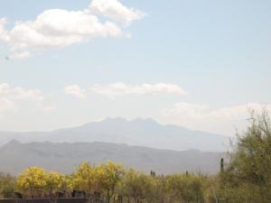 South of Rio Verde 00