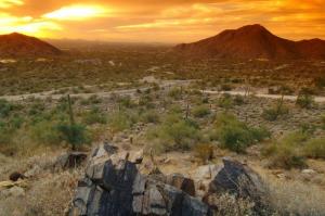 Upper Canyon at Silverleaf 1714