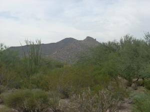 El Deseo at the Boulders 5