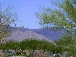 1666.00 SqFt - 3/2 bed/bath - $399,900