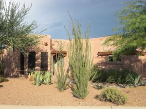 Tonto Verde home for sale