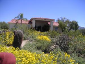 Los Gatos home for sale