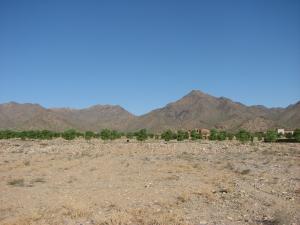 Arcadia at Silverleaf 3704