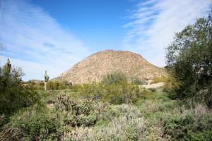Desert Highlands 247