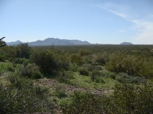 South of Rio Verde 1