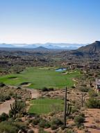 Saguaro Forest 233