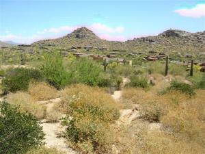 Estancia 261
