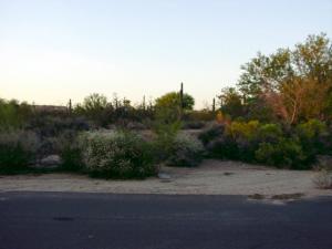 Pinnacle Peak Estates 3 22