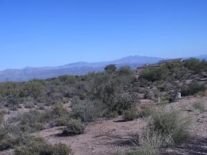 South of Rio Verde 4