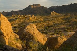 Sereno Canyon 35