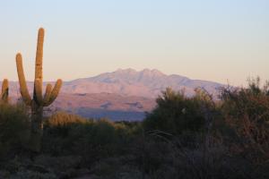 South of Rio Verde 4