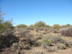 South of Rio Verde 1