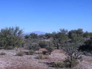 Granite Mountain Area Non-HOA Property home for sale